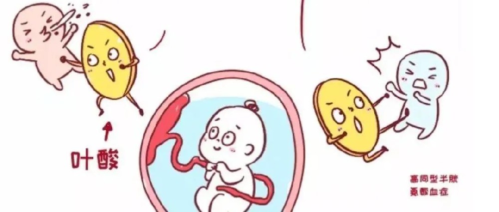孕期 3 種錯誤葉酸吃法，葉酸你吃對了嗎