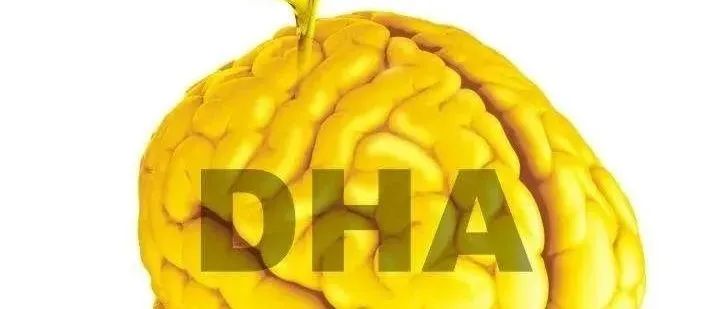 DHA補(bǔ)充的最佳時期，你家孩子及時補(bǔ)上了嗎？