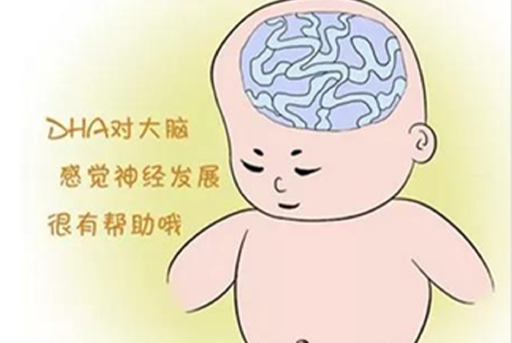 DHA—為“ 腦 ”助力，補(bǔ)與不補(bǔ)差別有多大？